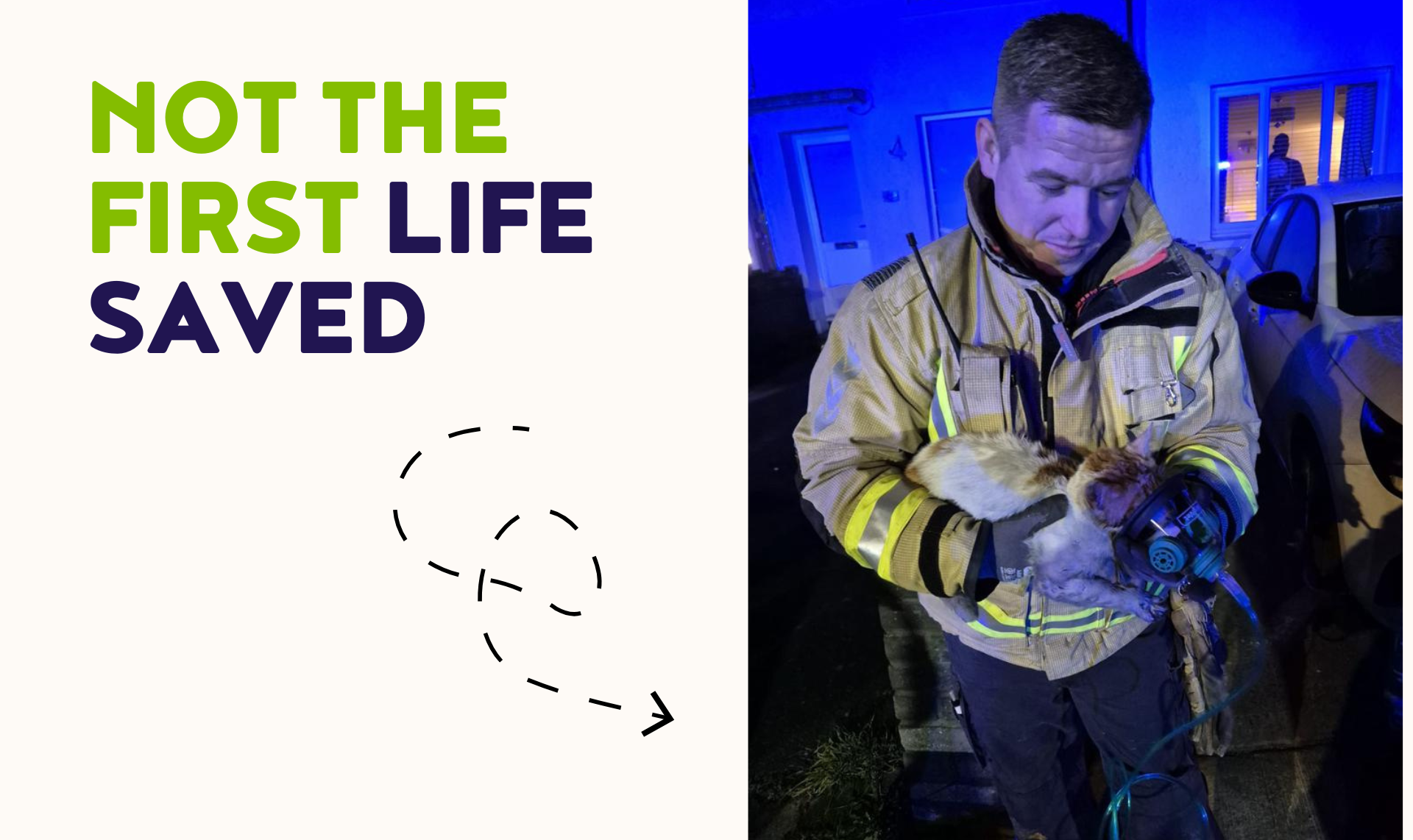 fireman saving cat from fire