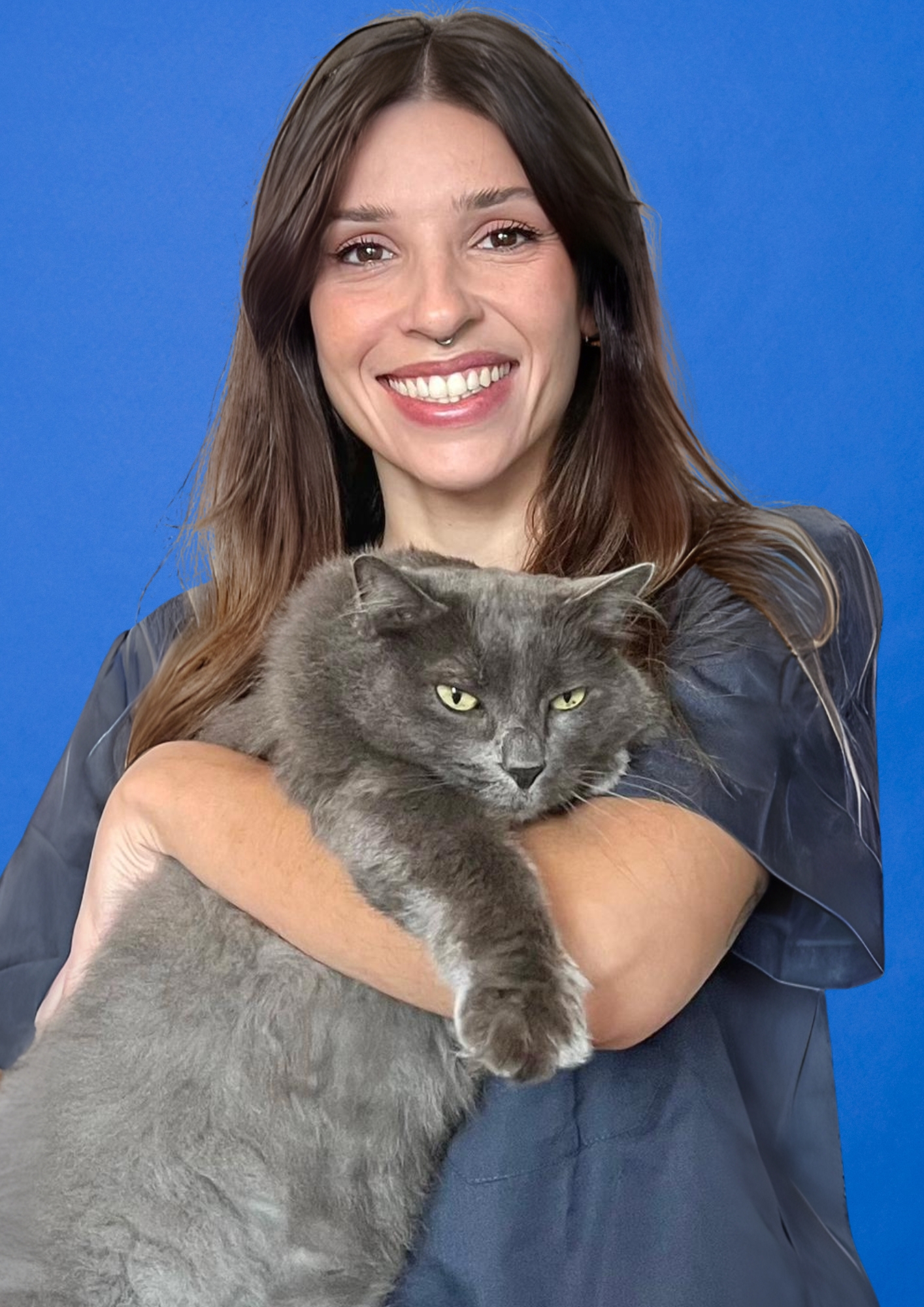 dermatology referral vets